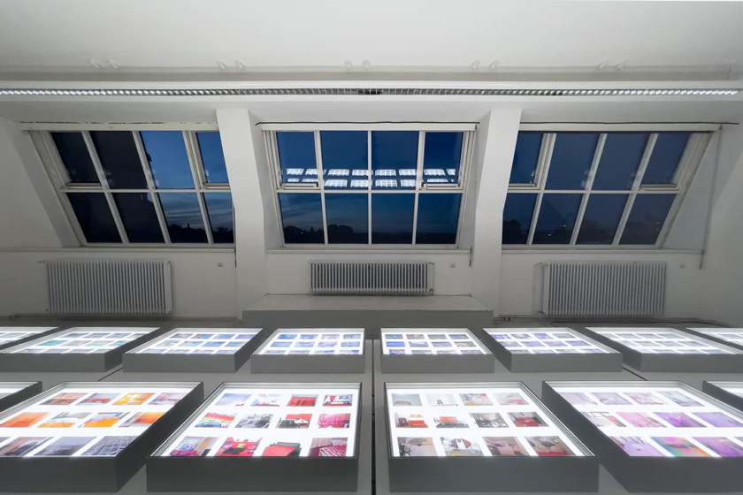 VISTAS-001-IMG_6626 copy