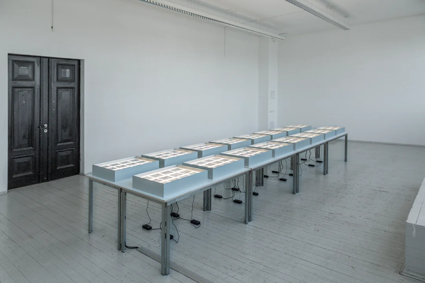 VISTAS - 021-_H3A8231 copy